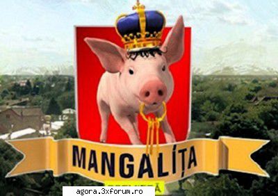Mangalița (2019) - Mangalița (2019) - Episod 6 Povestea Porcului - Seriale