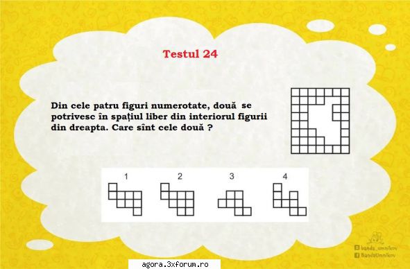 testul nr. 24 teste de