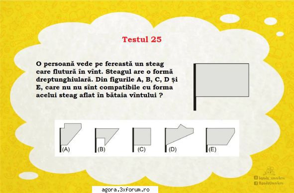 testul nr. 25 teste de