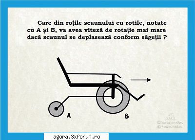 teste testul