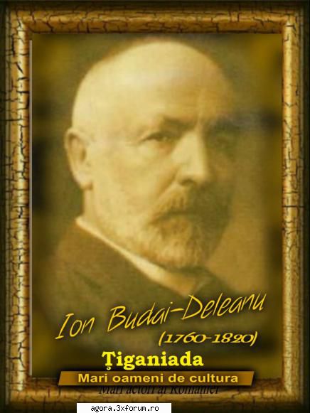 ion - ovidiu iuliu moldovan, florian maia mircea albulescu, gheorghe cozorici, silviu popescu,